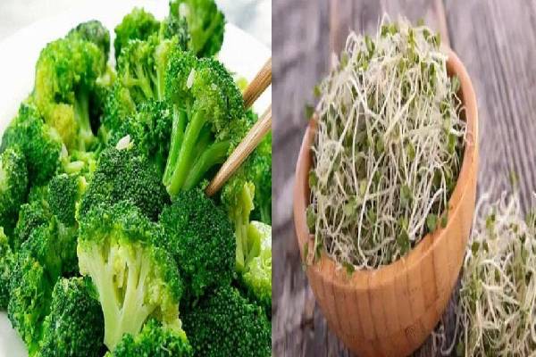 புற்றுநோய் செல்களை வேரருக்கும் டாப் 5 உணவுகள்! இனிமேல் தவிர்க்காதீங்க | What Are The Top 5 Cancer Fighting Foods