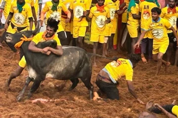 உதயநிதி தலைமையில் அனல் பறக்கும் அலங்காநல்லூர் ஜல்லிக்கட்டு- நேரலை காணொளி