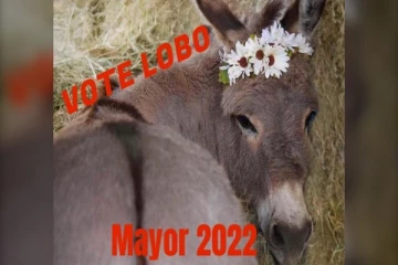 பிரிட்டிஷ் கொலம்பியாவில் தேர்தலில் போட்டியிடும் கழுதை!