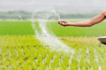 මොනරාගල ගොවීන්ට මෙවර වරදින්නේ නැහැ - යල කන්නය හොල්ලන්න ජාතික පොහොර ලේකම් කාර්යාලයෙන් දුන් සහතිකය මෙන්න