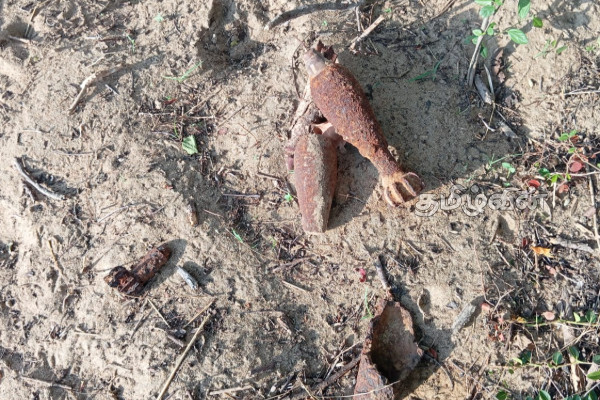 இயக்கச்சியில் வெடிக்காத நிலையில் குண்டுகள் மீட்பு | Unexploded Bombs Recovered In Iyakkacci