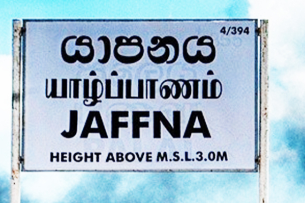 சர்வதேச கிரிக்கெட் மைதானம் யாழ்ப்பாணத்திற்கு அவசியம்: மணிவண்ணன் வலியுறுத்து! | International Cricket Stadium Is Essential Jaffna