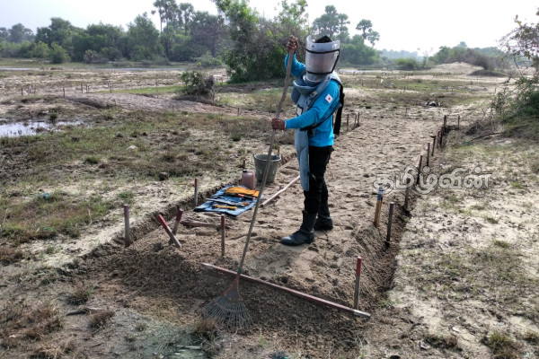 வடக்கில் மனிதாபிமான கண்ணிவெடி அகற்றும் பணிகள் முன்னெடுப்பு | Sarf Engages In Humanitarian Demining In The North