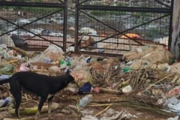 யாழில் மக்களின் பொறுப்பற்ற செயல்; கண்டுகொள்ளாத நல்லூர் பிரதேச சபை