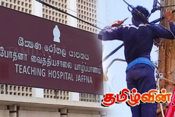 யாழில் மின்சார தாக்குதலுக்கு இலக்கான ஊழியர் ஒருவர் வைத்தியசாலையில் அனுமதி!