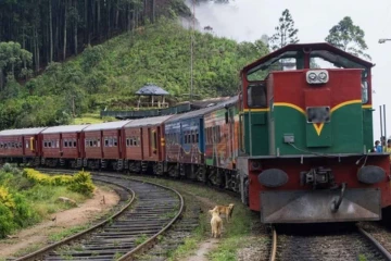 වෙසක් නිමිත්තෙන් ඔබ වෙනුවෙන් විශේෂ දුම්රිය ගමන්වාර කිහිපයක් - දුම්රිය දෙපාර්තමේන්තු නිවේදනය මෙන්න