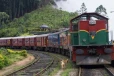වෙසක් නිමිත්තෙන් ඔබ වෙනුවෙන් විශේෂ දුම්රිය ගමන්වාර කිහිපයක් - දුම්රිය දෙපාර්තමේන්තු නිවේදනය මෙන්න