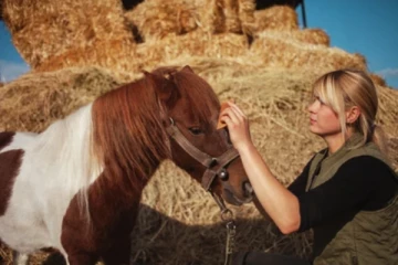 மாதம் ரூ.1 லட்சம் சம்பளம் - குதிரைக்கு முடி வெட்டினால் போதும்..!