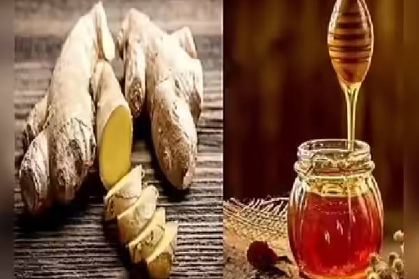 சளி, இருமலை வீட்டிலேயே குணமாக உதவும் இயற்கை டிப்ஸ் | Natural Tips To Help Cure Colds And Coughs At Home