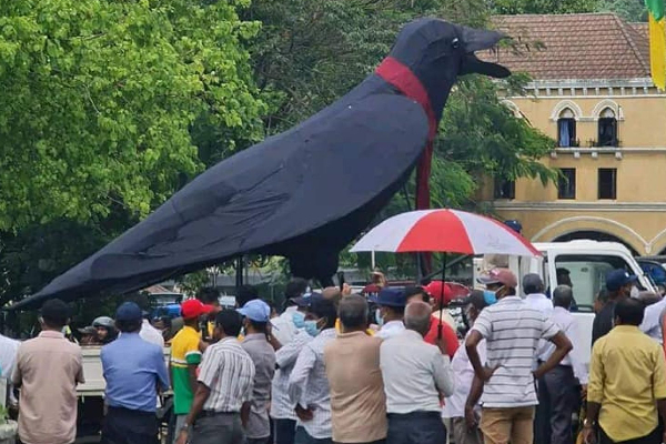 மக்களின் கவனத்தை ஈர்த்த  பாத யாத்திரையில் வரும் மிகப் பெரிய காகம் (Photos) | Crows Patha Yathra Sjb Rally