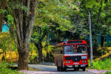 பேருந்து மீது மரம் விழுந்ததில் ஒருவர் பலி; 10 பேர் காயம்
