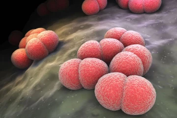 கொழும்பில் மெனிங்கோகோகஸ் தொற்றுடன் ஒருவர் அடையாளம்