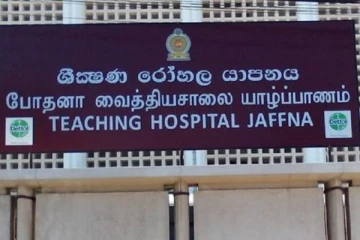 மாமரத்திலிருந்து தவறி விழுந்த குடும்பத்தலைவர் பரிதாபமாக உயிரிழப்பு