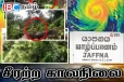 யாழ். புங்கன்குளம் வீதிக்கு குறுக்கே விழுந்த மரம்