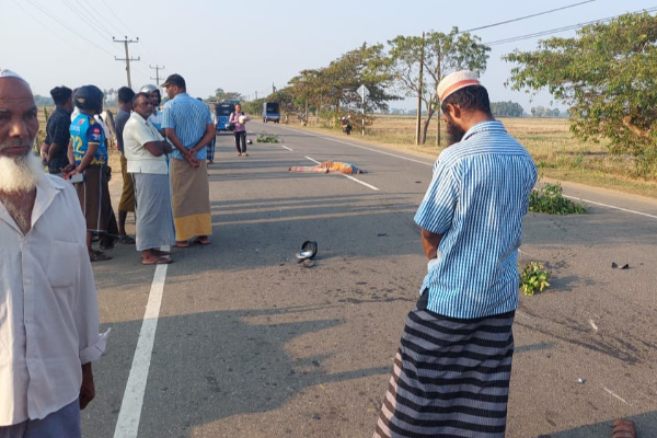 A9 வீதியில் இடம்பெற்ற விபத்தில் இருவருக்கு நேர்ந்த கதி | Two Seriously Affected In A9 Road Acciden
