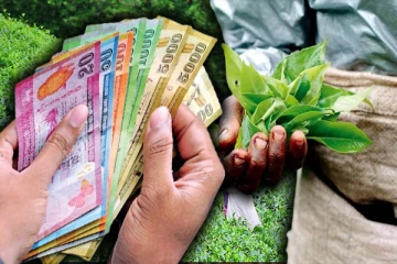 மாதச் சம்பளத்தை பெறாமல் புறக்கணித்த பெருந்தோட்ட தொழிலாளர்கள் !