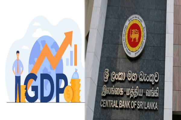 இலங்கை மொத்த உள்நாட்டு உற்பத்தியில் மாகாண பங்களிப்புக்கள் - வடமாகாணத்தின் நிலை - மத்திய வங்கி அறிக்கை! | Provinces Contributions Sri Lanka Gdp Central Bank