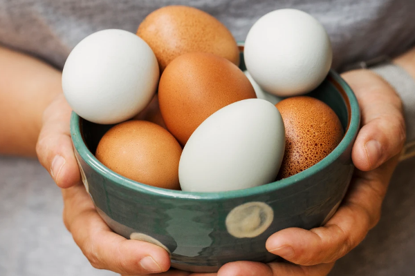 பொருளாதார நெருக்கடியில் மாட்டிக்கொண்ட கோழி முட்டை! | Chicken Eggs Stuck In Economic Crisis