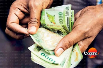 පොල් ගසකට රුපියල් 10,000 ක වන්දියක් - පරක්කු වෙන්න එපා
