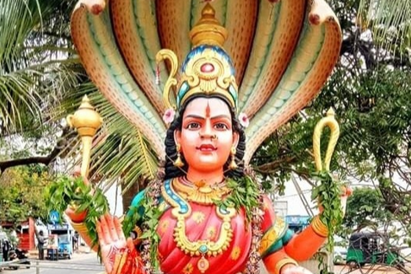 நாகபூசணி அம்மன் உடன் விளையாடாதீர்கள்; வேலன் சுவாமிகள் எச்சரிக்கை! | Don T Play With The Dragonfly Goddess Velan Swami