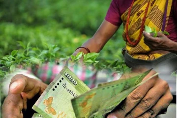 சம்பள விடயத்தில் நிலையற்ற தன்மையுடன் செயற்படும் மலையக தலைமைகள்: இந்து குருமார் ஒன்றியம் கவவை