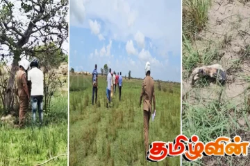 யாழ் - பருத்தித்துறையில் மீட்கப்பட்ட மனித எலும்புக்கூடு