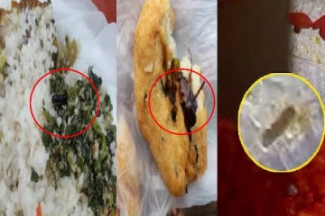 வடைக்குள் கரப்பான்பூச்சி! சுண்டலுக்குள் அட்டை: அடுத்தடுத்து வெளிவரும் உணவகங்களின் மோசமான செயற்பாடு(Photos)