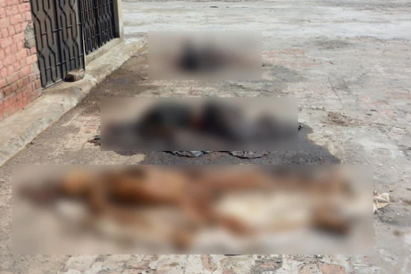 மருத்துவமனை மாடி முழுவதும் அழுகிய நிலையில் 200 மனித உடல்கள் - அதிர்ச்சியில் அதிகாரிகள் | Pakistan 200 Decayed Bodies Found On Hospital Roof மருத்துவமனை மாடி முழுவதும் அழுகிய நிலையில் 200 மனித உடல்கள் - அதிர்ச்சியில் அதிகாரிகள் | Pakistan 200 Decayed Bodies Found On Hospital Roof