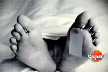 වන අලියකු පහරදීමෙන් විදෙස් පුද්ගලයෙකු ජීවිතක්ෂයට පත්ව ඇත.