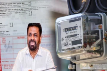 மின் பாவனையாளர்களுக்கு ஜனாதிபதி அளித்த நிவாரணம்