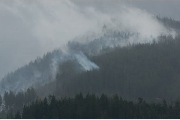 கனடாவின் இந்தப் பகுதியில் கடுயைமான காட்டுத்தீ | Wildfire Number Surges To About 130 In Bc