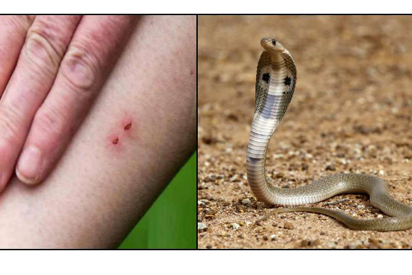 boy-4-dies-as-grandmother-takes boy-4-dies-as-grandmother-takes