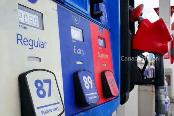 ரொறன்ரோவில் எரிபொருள் விலையில் ஏற்பட்டுள்ள வீழ்ச்சி! | Gta Gas Prices To Drop Ahead
