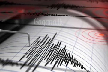 දූපතකට ආසන්නයේ ප්‍රබල භූකම්පනයක්..