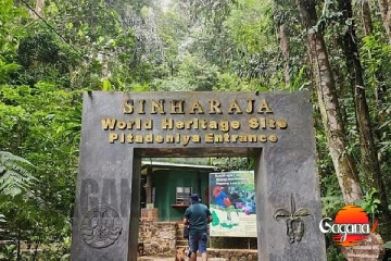 බලය තියෙන දේශපාලඥයන් පිරිසක් සිංහරාජෙට දෙන්න යන ගේම මෙන්න මේක කළොත් මුළු වැසි වනයම විනාශයි