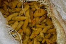 இந்தியாவிலிருந்து சட்டவிரோதமாக கடத்தி வரப்பட்ட ஒருதொகை மஞ்சள் மீட்பு