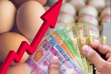 மீண்டும் அதிகரிக்கும் முட்டையின் விலை...!