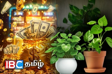 உங்கள் வீட்டில் பண வரவு அதிகரிக்க வேண்டுமா...! இந்த ஒரு செடி போதும்...