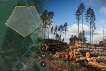 வனவள திணைக்களத்துக்குச் சொந்தமான 125 ஏக்கர் காடு தனிநபர்களால் பூரணமாக அழிப்பு