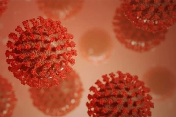 ஒமைக்ரான் தொற்றிலிருந்து குணமடைந்த ஒன்றரை வயது குழந்தை : மகாராஷ்டிரா சுகாதாரத் துறை அறிவிப்பு