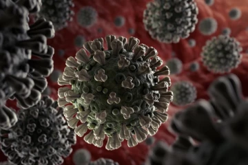 தமிழகத்தில் குறையும் கொரோனா பாதிப்பு!