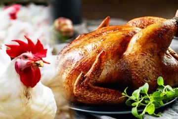 கோழி இறைச்சியின் விலையில் ஏற்படவுள்ள மாற்றம்