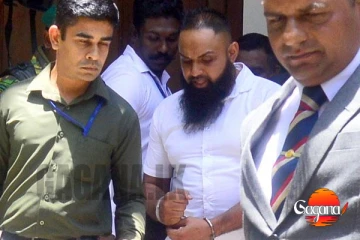 හරක් කටා මරන සැලැස්මකින් පද්මෙගෙයි - සලින්තගෙයි ප්ලෑන් එක ලුතිනන් කර්නල් වමාරයි