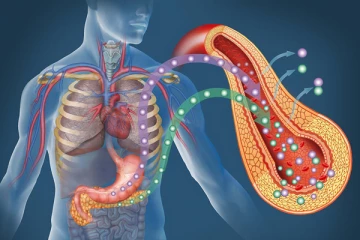 දියවැඩියාවේ මූලික රෝග ලක්ෂණ හඳුනාගැනීම වැදගත් ඇයි?