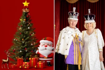 கிறிஸ்துமஸ் வாழ்த்து அட்டையை வெளியிட்ட பிரித்தானிய மன்னர் சார்லஸ்: வெளியான புதிய புகைப்படம்!