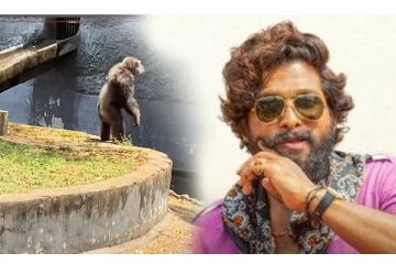 ‘புஷ்பா’  அல்லு அர்ஜூன் மாதிரி நடனமாடிய குரங்கு - வைரலாகும் வீடியோ