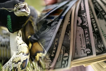 இப்படி ஒரு போட்டியா? பரிசு தொகை 25 லட்சமாம்!