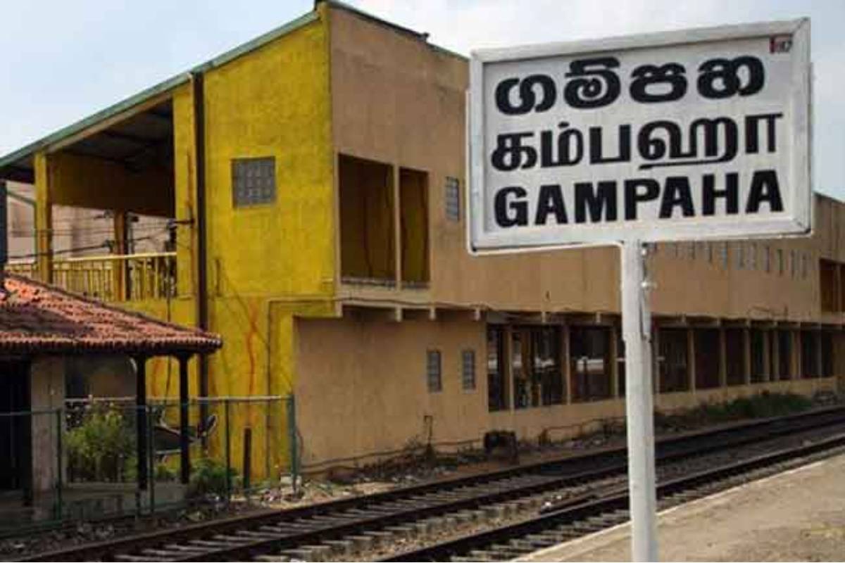 இலங்கையில் நாளுக்கு நாள் அதிகரிக்கும் டெங்கு நோயாளர்கள்! | 82000 Dengue Cases In Sl Death Toll Reaches 61 இலங்கையில் நாளுக்கு நாள் அதிகரிக்கும் டெங்கு நோயாளர்கள்! | 82000 Dengue Cases In Sl Death Toll Reaches 61