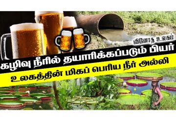 கழிவுநீரில் தயாரிக்கப்படும் பீர்! போட்டிபோட்டு வாங்கும் மக்கள்