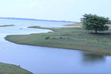 வவுனிக்குளத்தில் நீர் பற்றாக்குறை : எடுக்கப்பட்ட தீர்மானம்(Video)